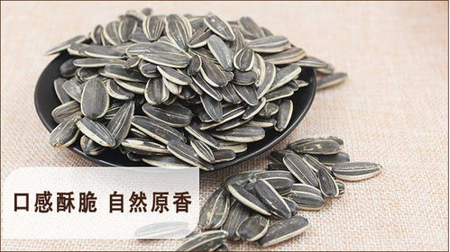 新貨特價 內蒙炒貨原味香瓜子批發散裝5斤 2斤干炒五香焦糖零食