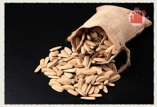 堅果炒貨辦公休閑零食小吃特產(chǎn)五香瓜子