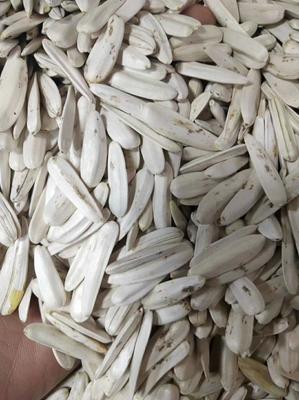 牙簽瓜子，品味生活的雋永滋味