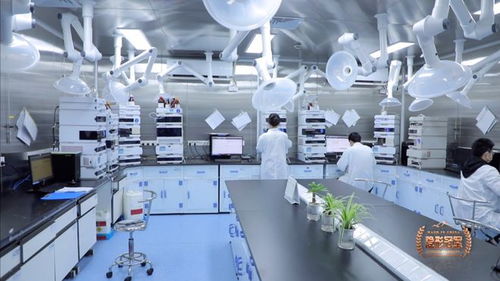 六元環三劍客 二十年死磕分子砌塊，讓中國技術嵌入全球藥脈